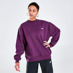 The North Face City Standard Crewneck 卫衣