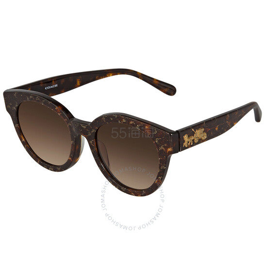 COACH 蔻驰 棕色马车Logo墨镜