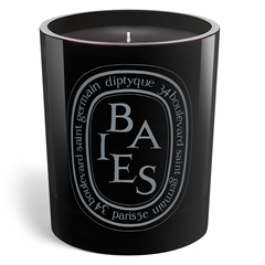 【购≥2件享7折】Diptyque 蒂普提克 彩色香氛蜡烛#Baies 浆果 木质香调 300g