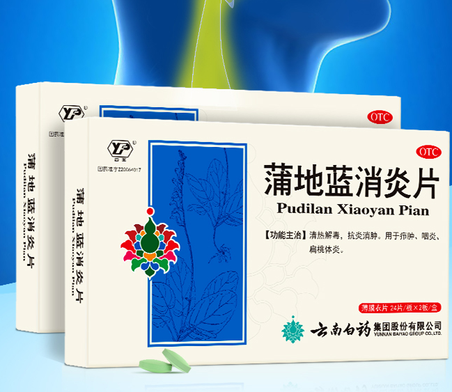 云丰 蒲地蓝消炎片 0.3g*48片