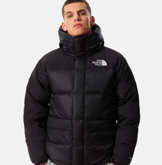 The North Face M Hmlyn 羽绒派克大衣