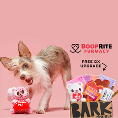 Bark Bright：为爱犬定制专属玩具、零食 $20起
