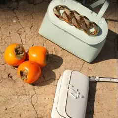 Giglio：私密大促开启！入手RV、金鹅、Max Mara