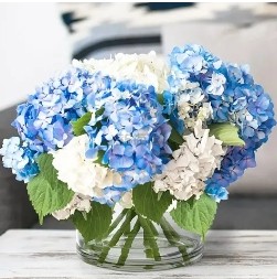 Walmart： 精致花瓶热卖 家居装饰必备