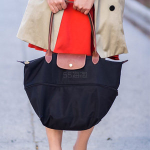 Longchamp  珑骧 Le Pliage 饺子包