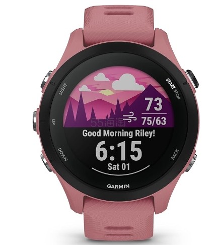 【含税直邮】GARMIN 佳明 跑步GPS手表 防汗 Forerunner 255 010-02641-03 新热带色