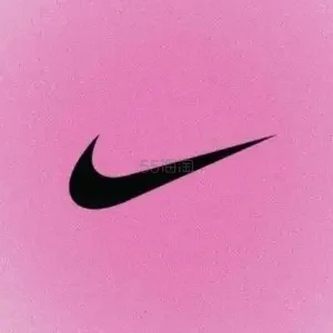 Nike 美国：母亲节大促 Dunk 大童运动鞋