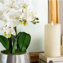 QVC：把春天带进家里 生机勃勃的绿植花卉、高颜值的家具摆件