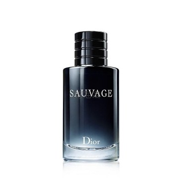 Dior 迪奥 旷野男士淡香水EDT 60毫升 馥奇香调