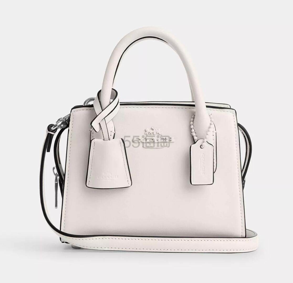 Coach 蔻驰 Andrea Carryall 手提包