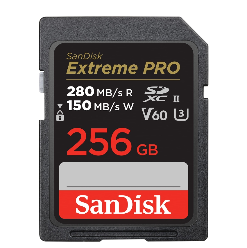 SanDisk 闪迪 安全数字存储卡 SDSDXEP-256G-GN4IN