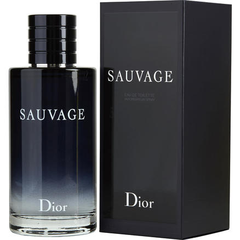 Dior 迪奥 旷野男士淡香水 EDT 200ml