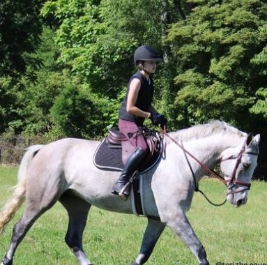 Horse.com：马匹用品和骑马配件热卖