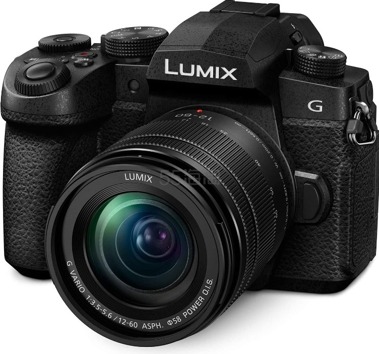 Panasonic 松下电器 LUMIX G95D 无反光镜相机 2030 万像素 12-60mm F3.5-5.6 M4/3镜头