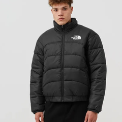 The North Face 北面 TNF 2000 羽绒夹克