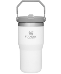 Stanley IceFlow 带吸管不锈钢保温杯 20oz