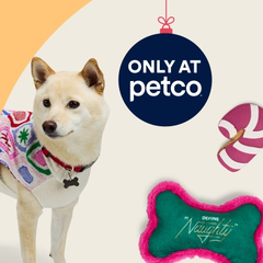 Petco：宠物用品热卖！节日系列玩具、服装、装饰品等