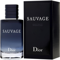 Dior 迪奥 旷野男士淡香水 EDT 100ml