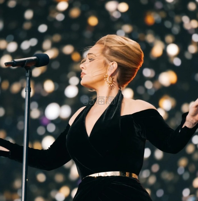 StubHub：Adele Tickets 阿黛尔演唱会门票