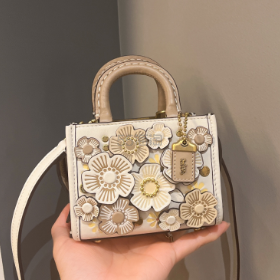Coach 美国官网:Coach 蔻驰 Rogue 25 山茶花白色小废包