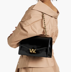 ALEXANDER WANG W Legacy 单肩包
