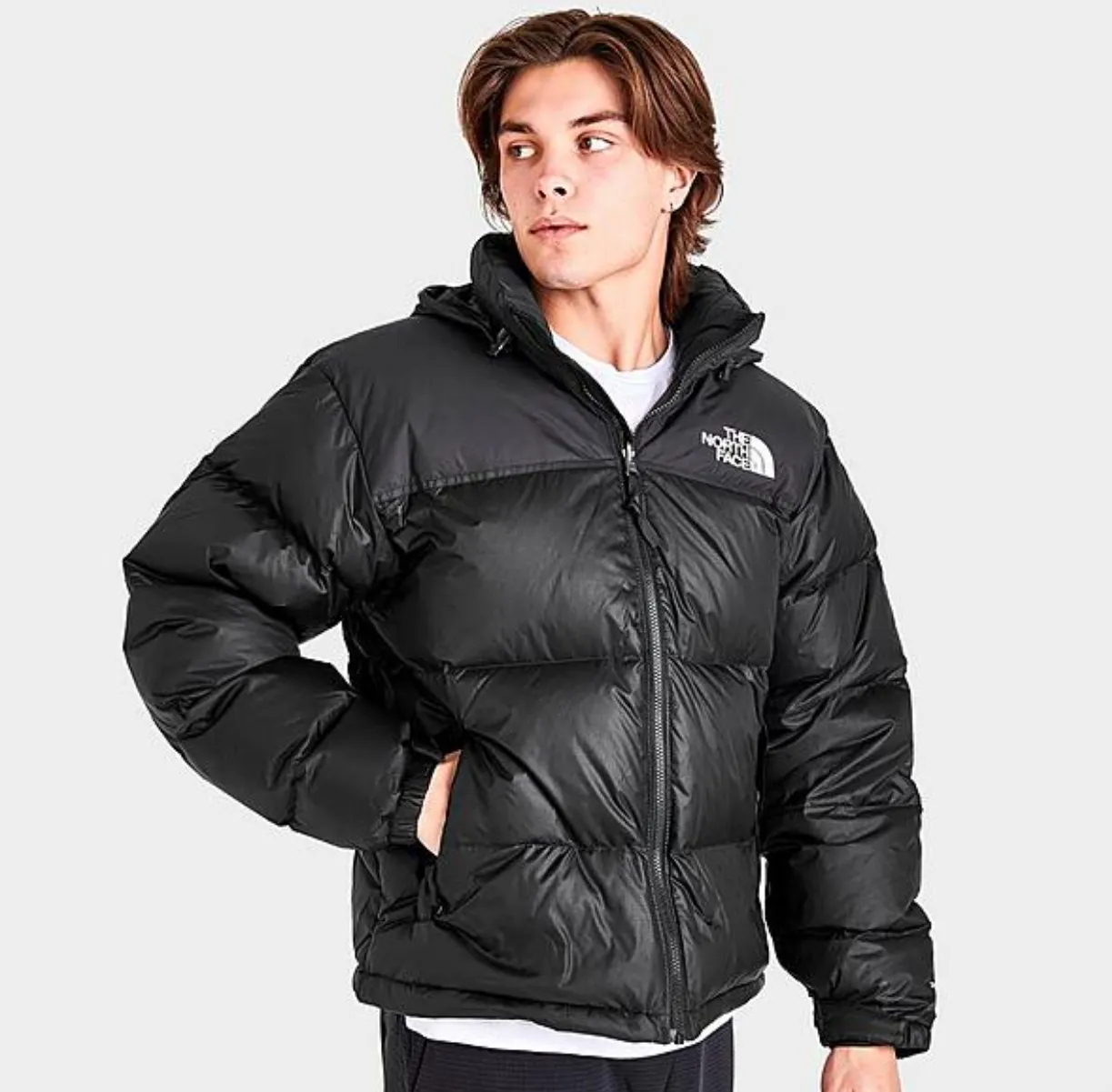 THE NORTH FACE 1996 RETRO NUPTSE 男士羽绒服