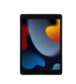 Walmart:Apple  iPad 9 Wi-Fi 256GB