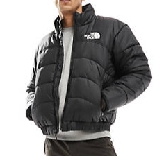 The North Face 北面 TNF 2000 puffer 夹克