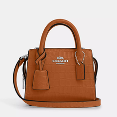 Coach 蔻驰 Andrea Mini Carryall 手提包