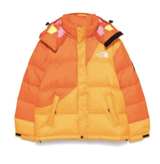 The North Face TNF x Yinka 羽绒服