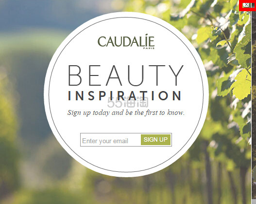 Caudalie海淘攻略/ Caudalie USA(欧缇丽)下单流程展示