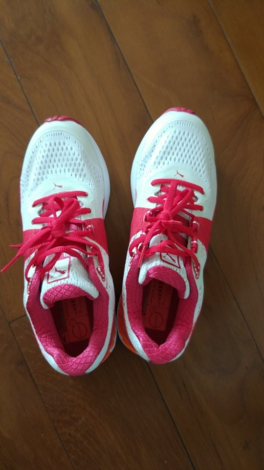 彪马女运动鞋,39码全新,380元转