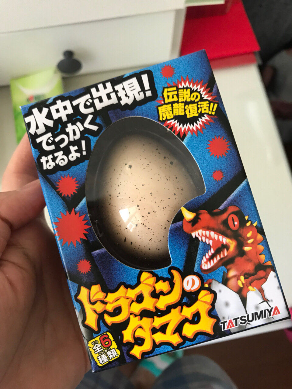 日本恐龙蛋 真的是恐龙蛋哦！  男孩子应该会喜欢，泡在水里2