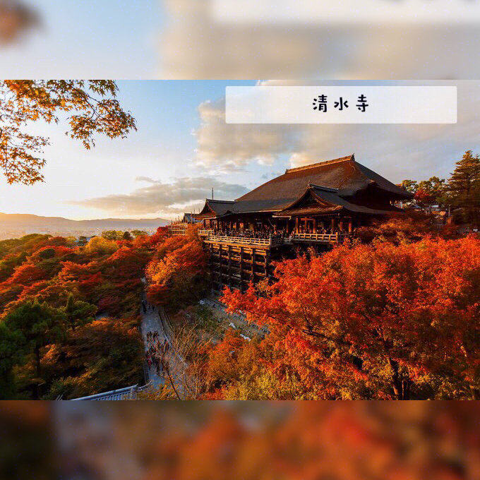 1分钟看懂丨日本实用交通票券丨京都巴士一
 除了地铁之外，京