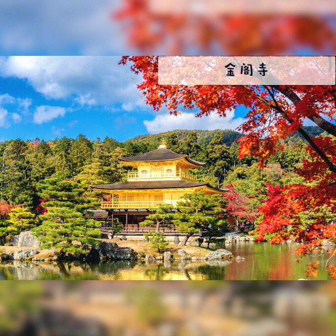 1分钟看懂丨日本实用交通票券丨京都巴士一
 除了地铁之外，京