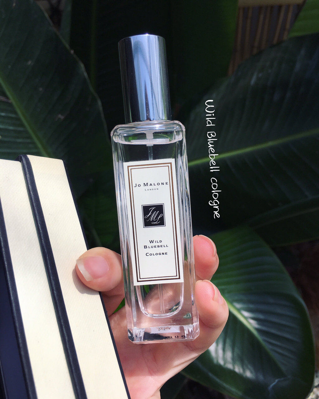 祖玛珑jomalone蓝风铃30ml野生蓝风铃wildbluebell香调淡花