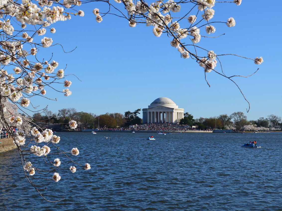 🇺🇸美国首府华盛顿DC 旅游最强攻略👍
 今天要给大家