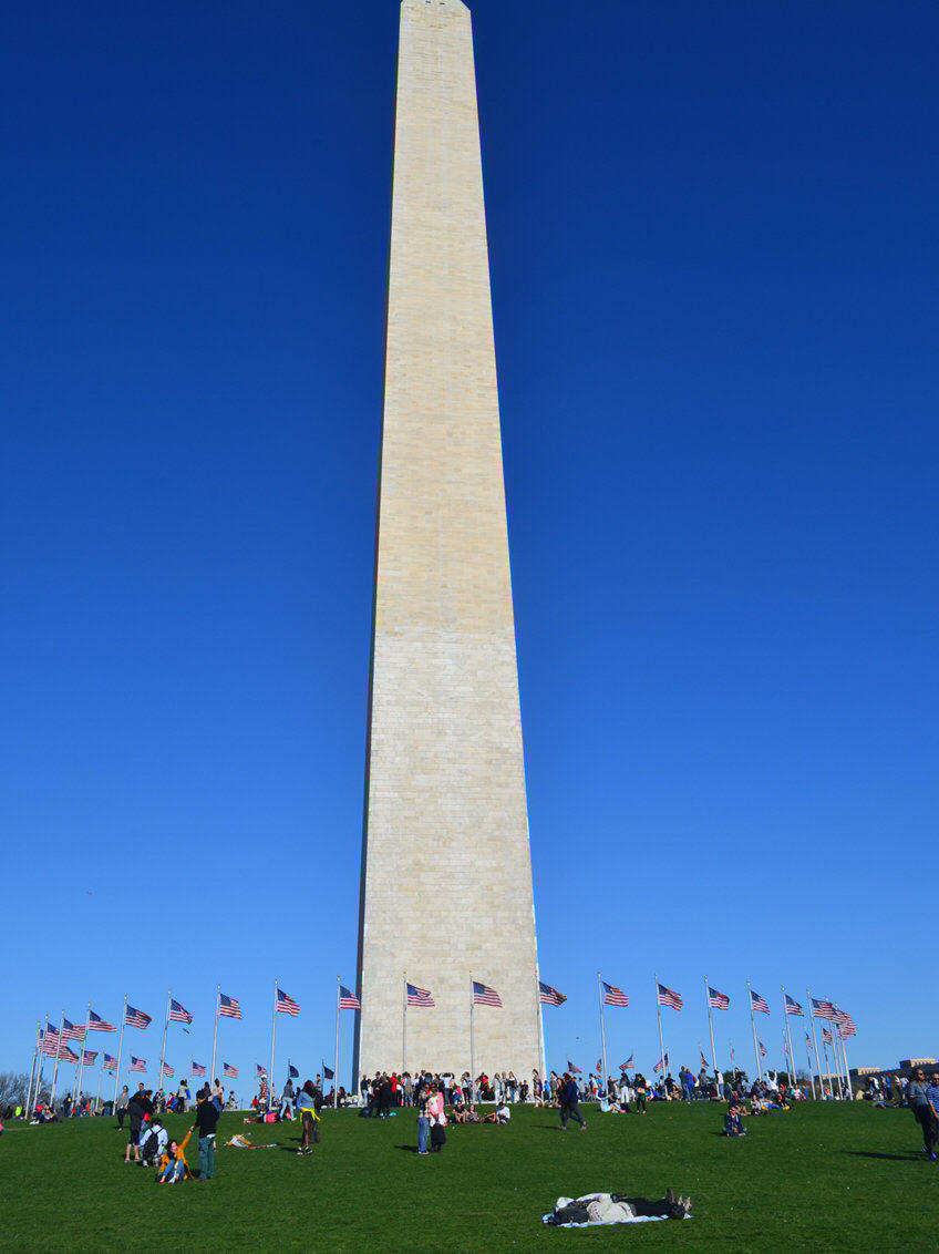 🇺🇸美国首府华盛顿DC 旅游最强攻略👍
 今天要给大家