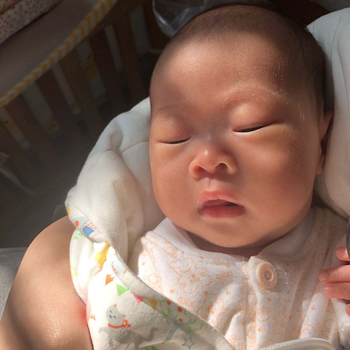 刚出生的时候小家伙长的像个小猴子，这个颜值有点担忧莫不是选了