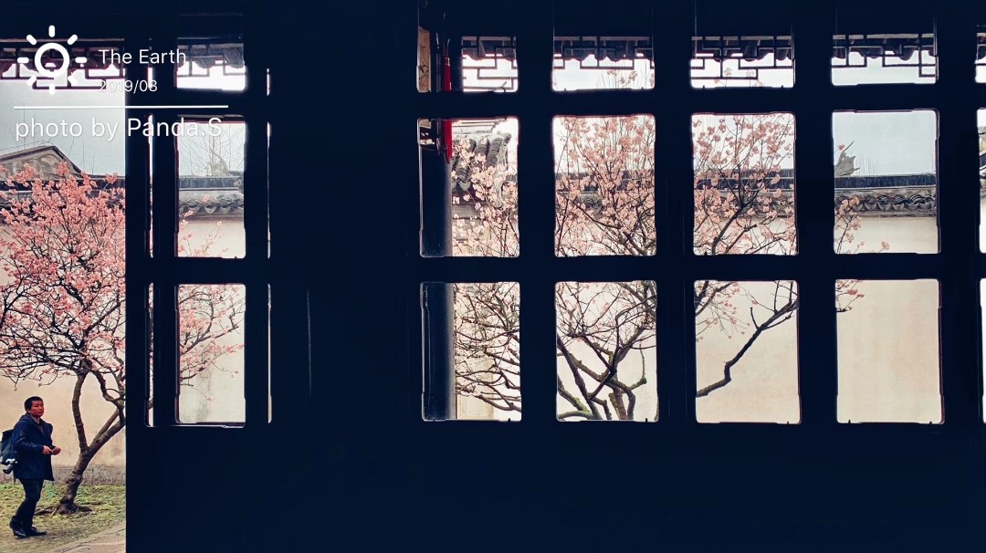 人间三月芳菲尽 好一个花花世界 🌸🌸🌸🌸🌸🌸 真