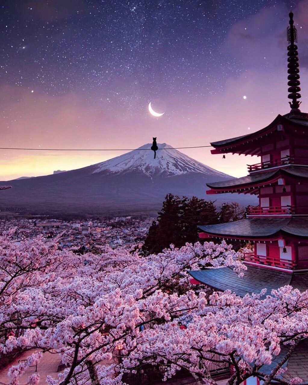 🔥🔥🌸樱花季最值得去的地方❗️🌸日本篇🌸     