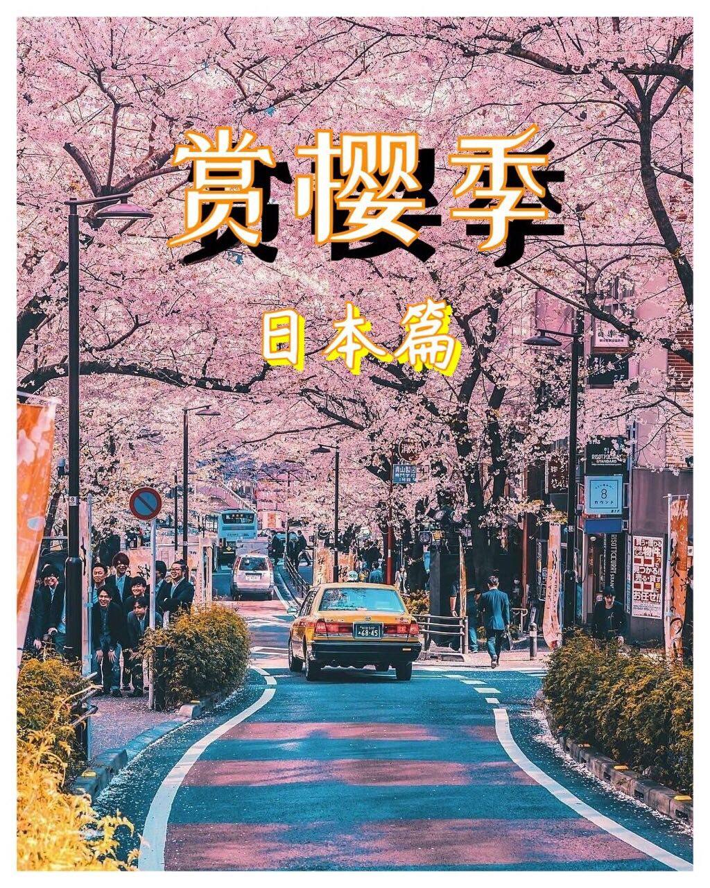 🔥🔥🌸樱花季最值得去的地方❗️🌸日本篇🌸     