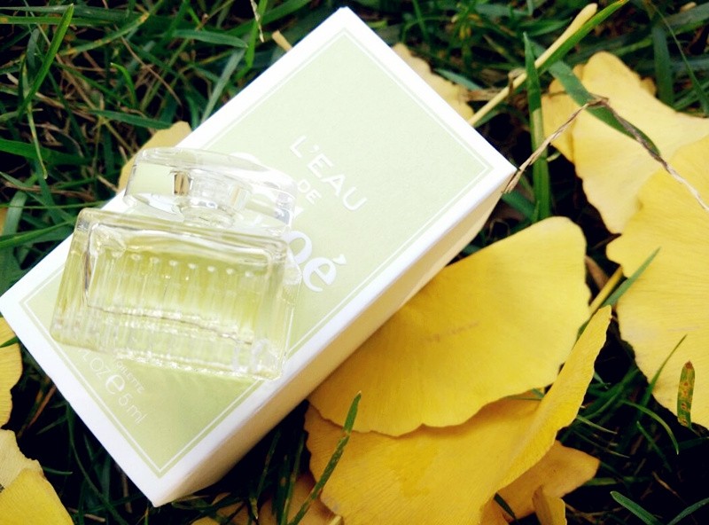 都说闻香识女人，一个女人总有那么几款为之迷恋的味道。 🌿�