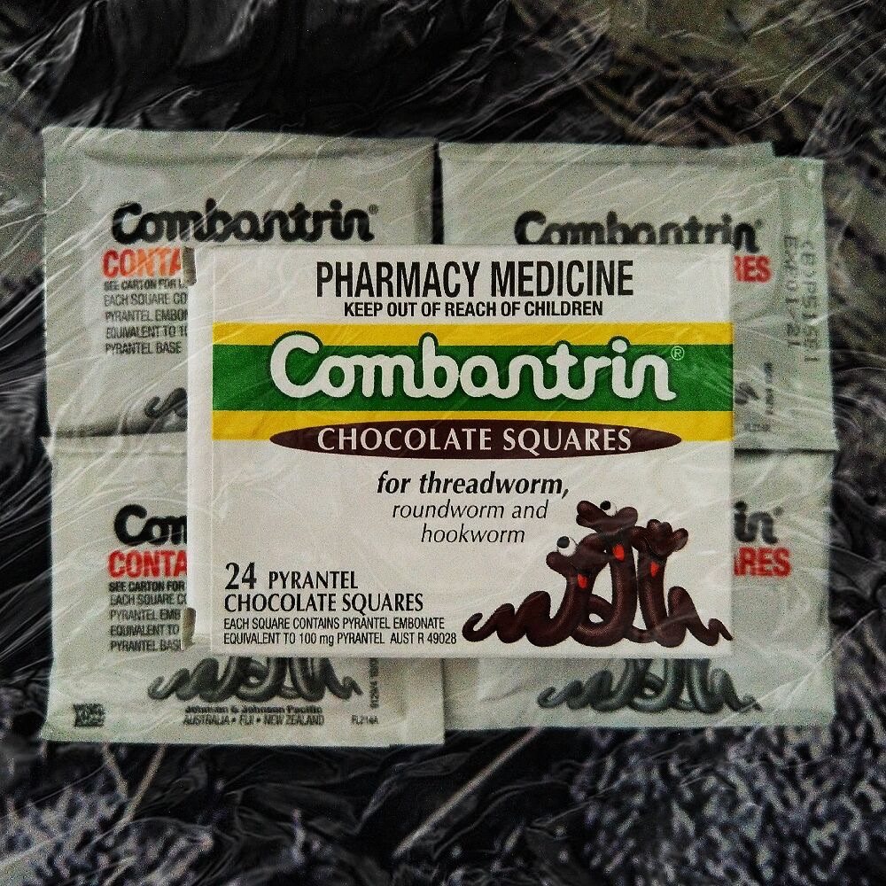 21天打卡挑战Day.13 🍫打虫记  🍫不知不觉，熊孩