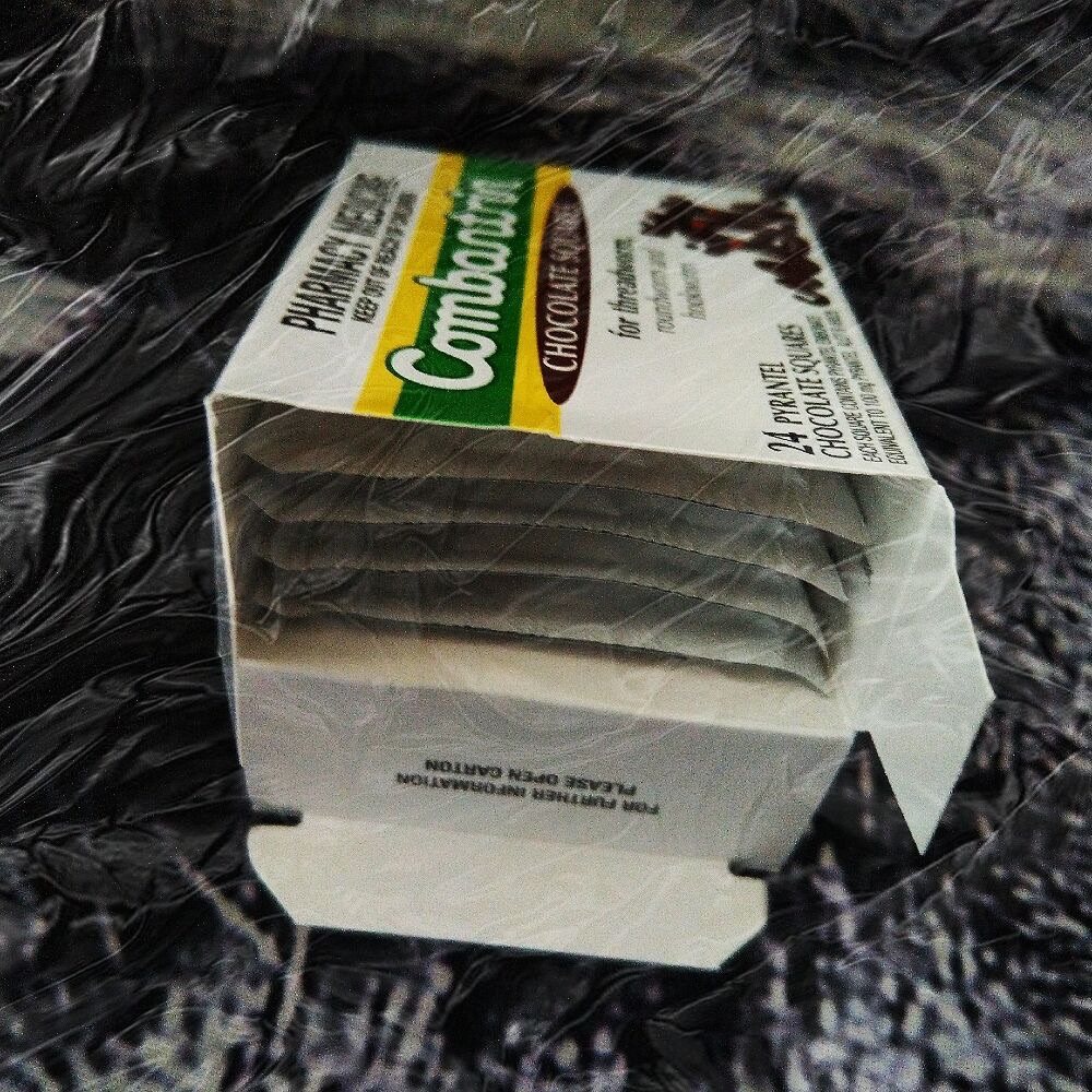 21天打卡挑战Day.13 🍫打虫记  🍫不知不觉，熊孩