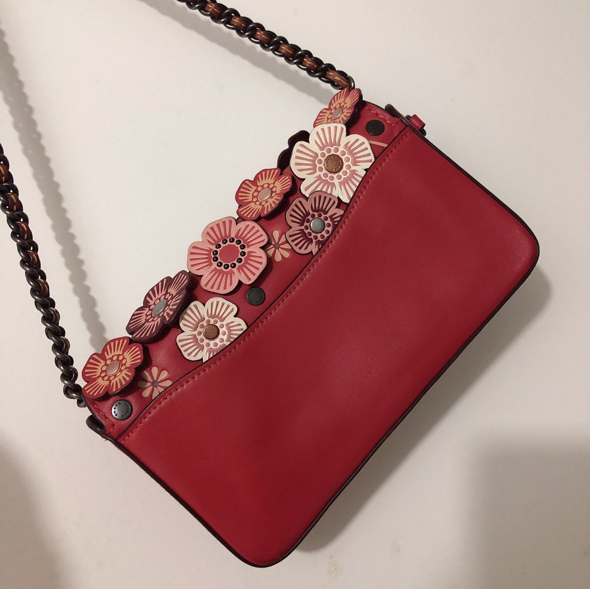 21天打卡挑战_Day_17💥Coach dinky 19