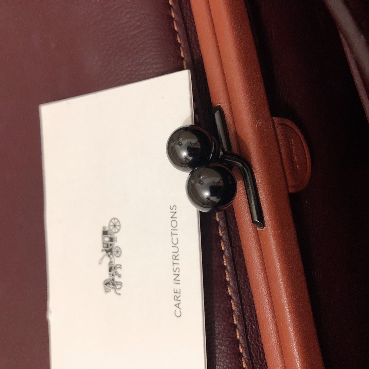 21天打卡挑战_Day_17💥Coach dinky 19