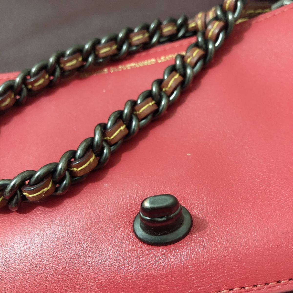 21天打卡挑战_Day_17💥Coach dinky 19