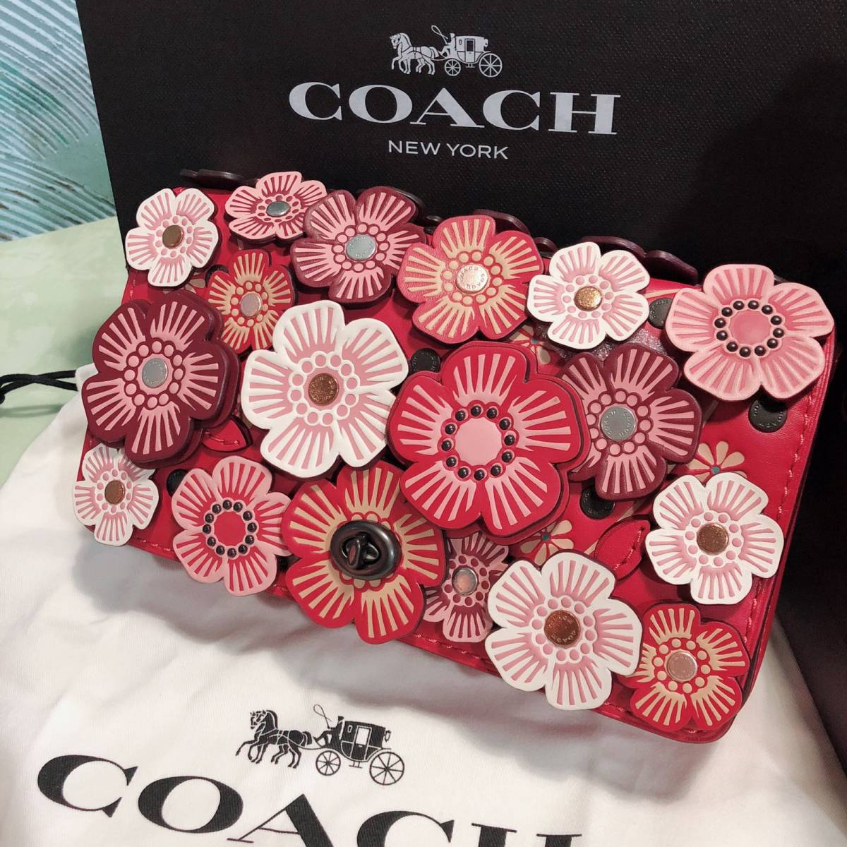 21天打卡挑战_Day_17💥Coach dinky 19