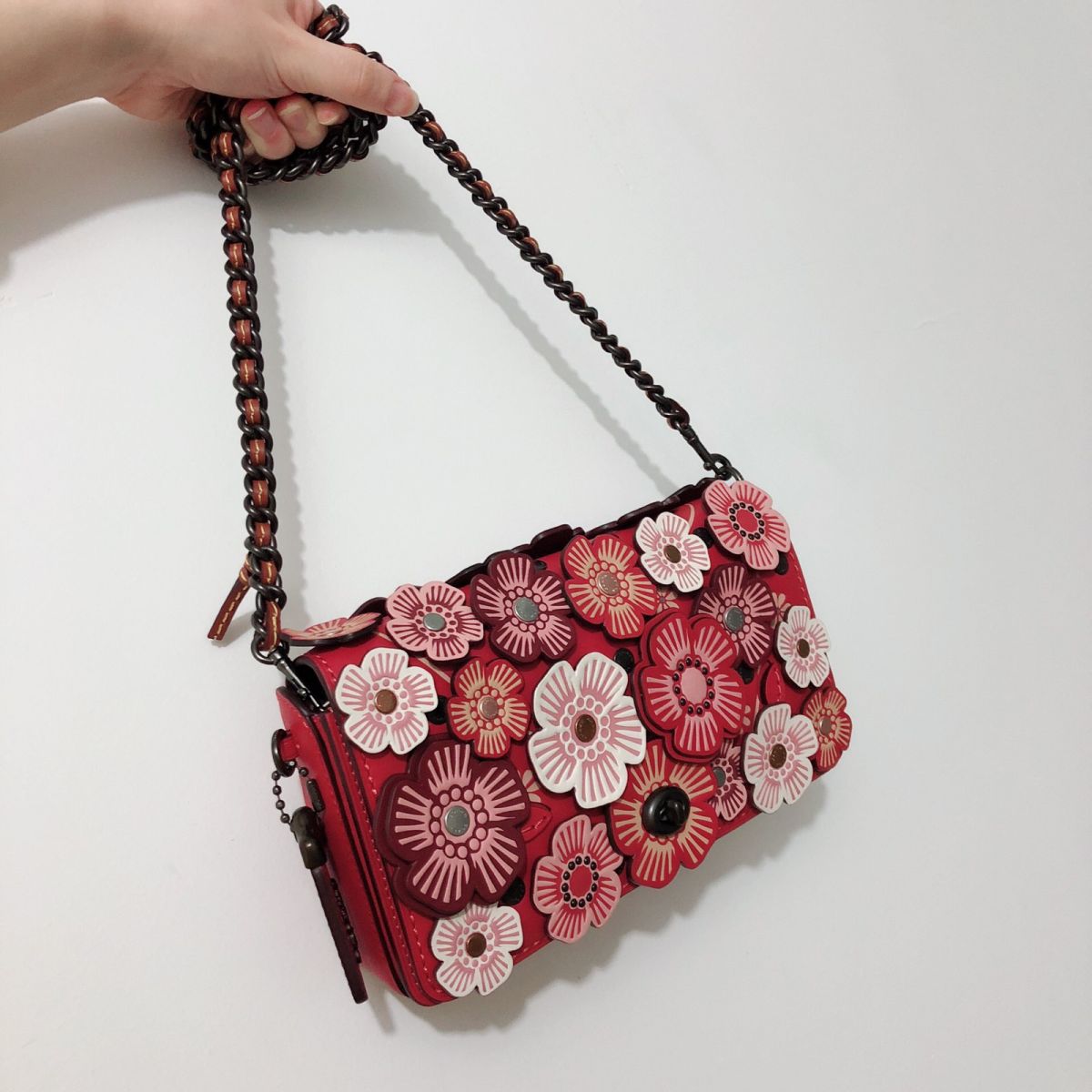 21天打卡挑战_Day_17💥Coach dinky 19